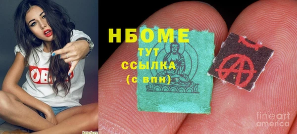 шишки Алзамай